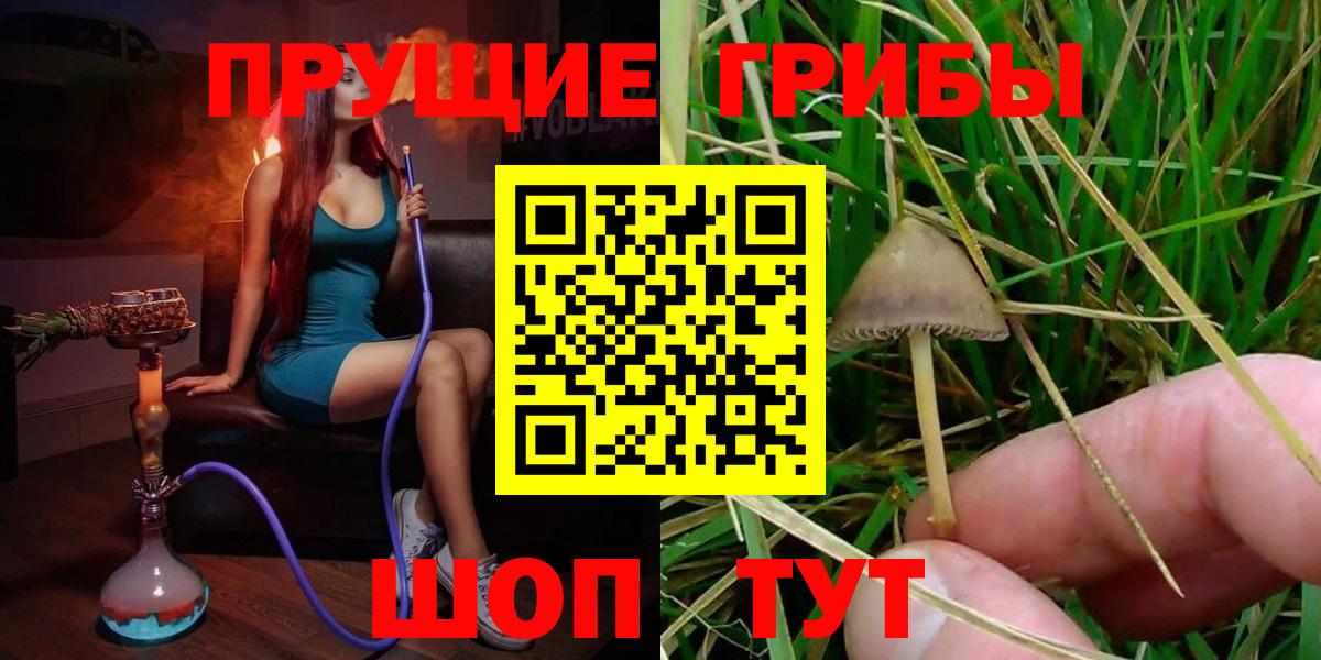 Галлюциногенные грибы Psilocybine cubensis Ишим