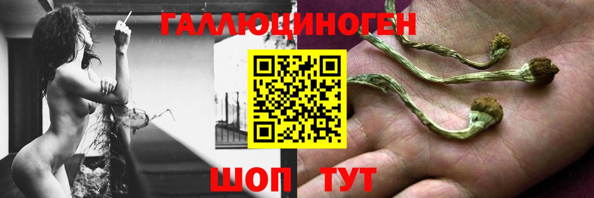 Псилоцибиновые грибы Cubensis  где найти наркотики  Ишим  Вход с VPN 